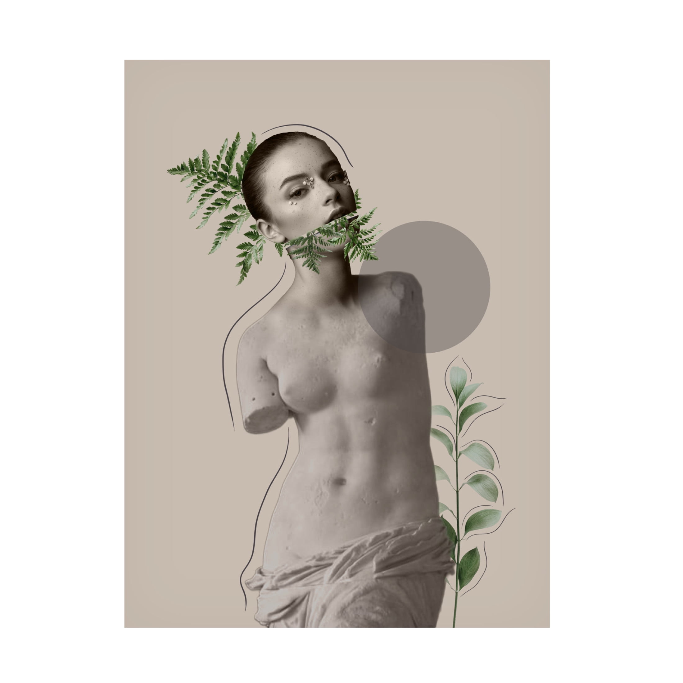Canvas Wall Art - Leila 'LILI Collection Creative Art Series' Wall Art for Living Room, Bedroom, or Office Décor by Trademark Fine Art - 35 x 47 Inches