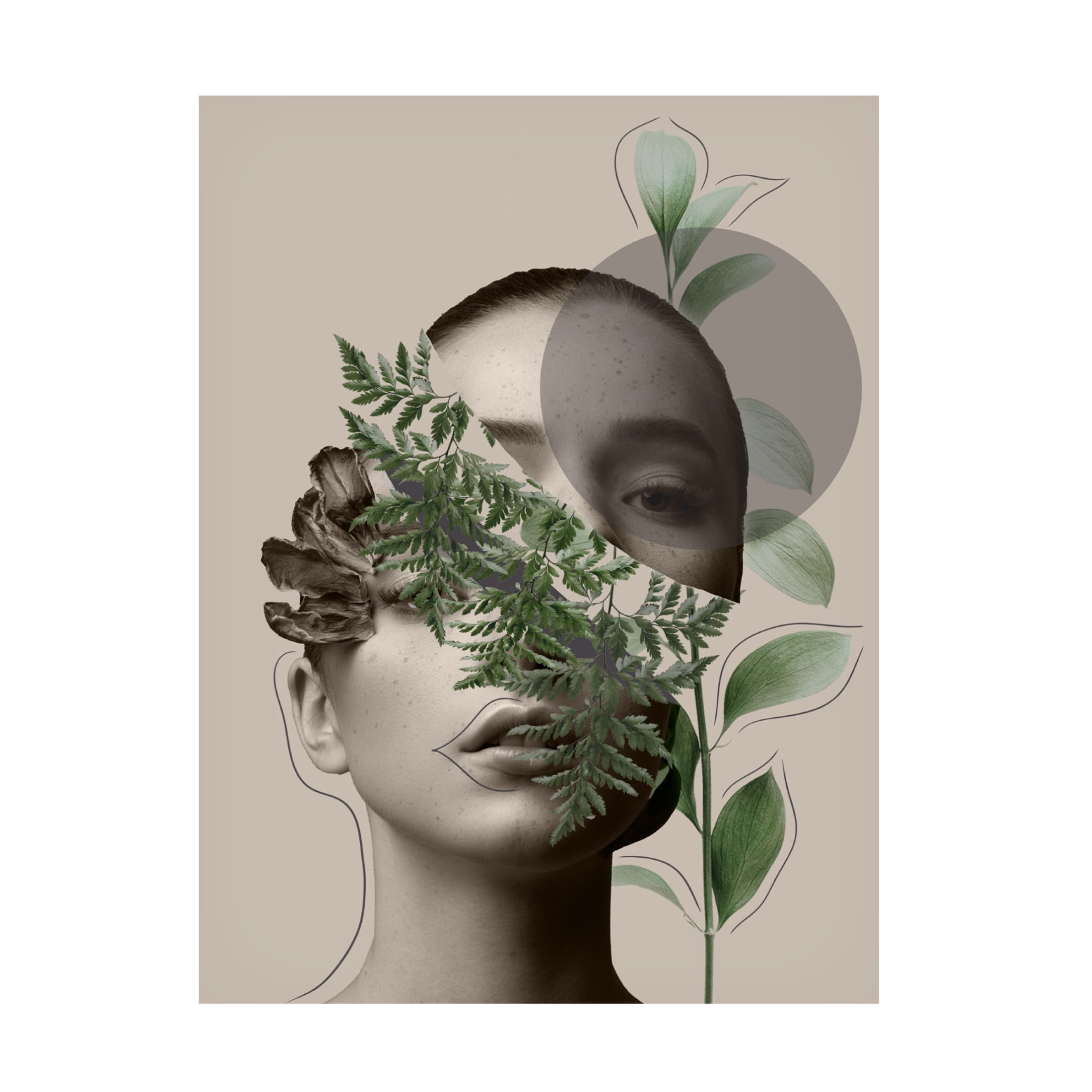 Canvas Wall Art - Leila 'Lili Collection Creative Art Series' Wall Art for Living Room, Bedroom, or Office Décor by Trademark Fine Art - 14 x 19 Inches
