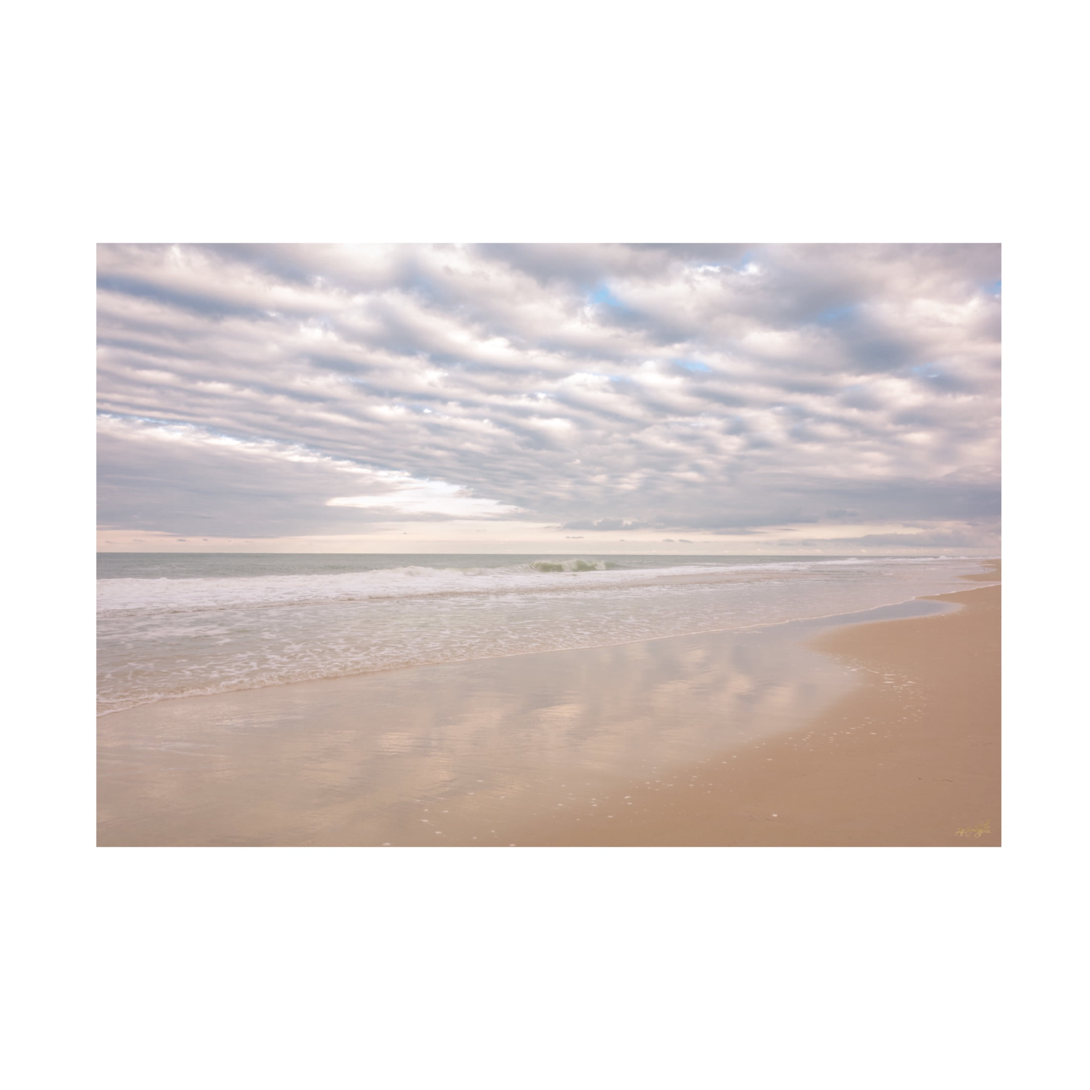 Canvas Wall Art - Life BeautifuLEE 'Delicious Cotton Harvest 2' Wall Art for Living Room, Bedroom, or Office Décor by Trademark Fine Art - 24 x 16 Inches