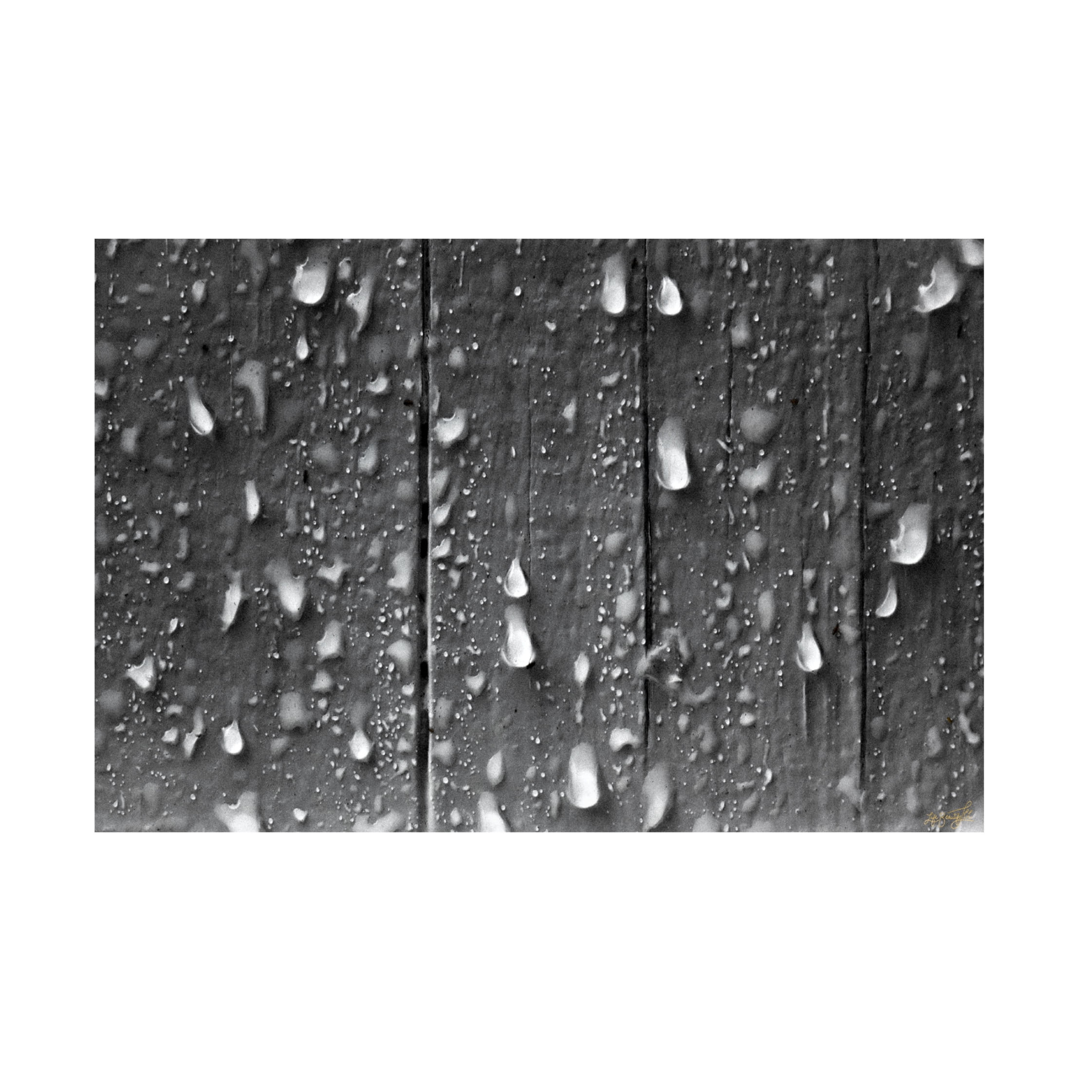 Canvas Wall Art - Life BeautifuLEE 'Drops on Wood' Wall Art for Living Room, Bedroom, or Office Décor by Trademark Fine Art - 32 x 22 Inches
