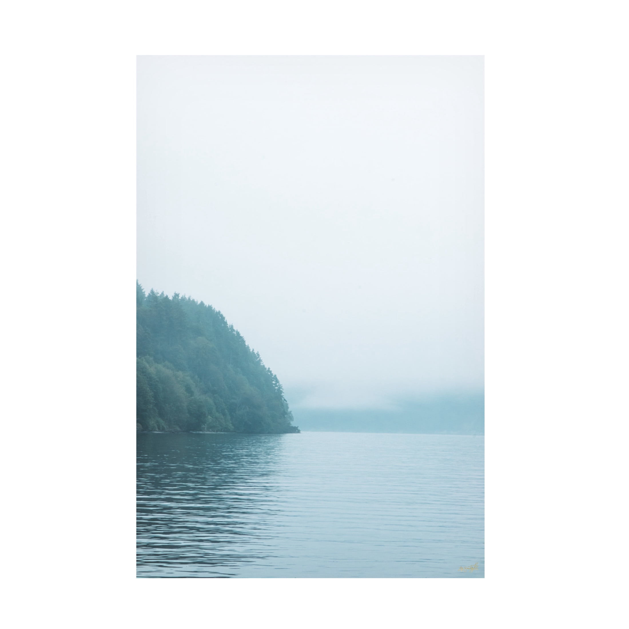 Canvas Wall Art - Life BeautifuLEE 'Puget Woods' Wall Art for Living Room, Bedroom, or Office Décor by Trademark Fine Art - 16 x 24 Inches