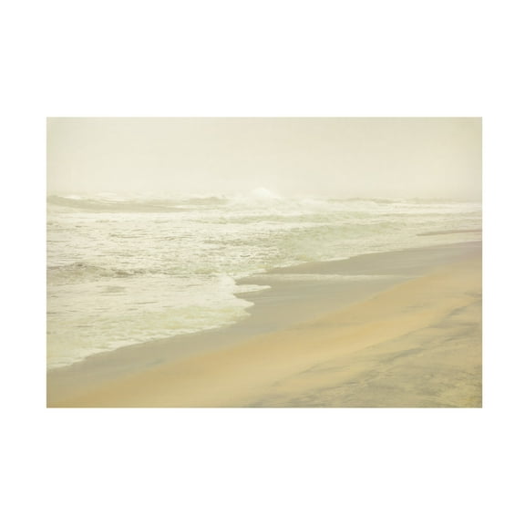 Canvas Wall Art - Life BeautifuLEE 'The Haze of Dreams' Wall Art for Living Room, Bedroom, or Office Décor by Trademark Fine Art - 19 x 12 Inches