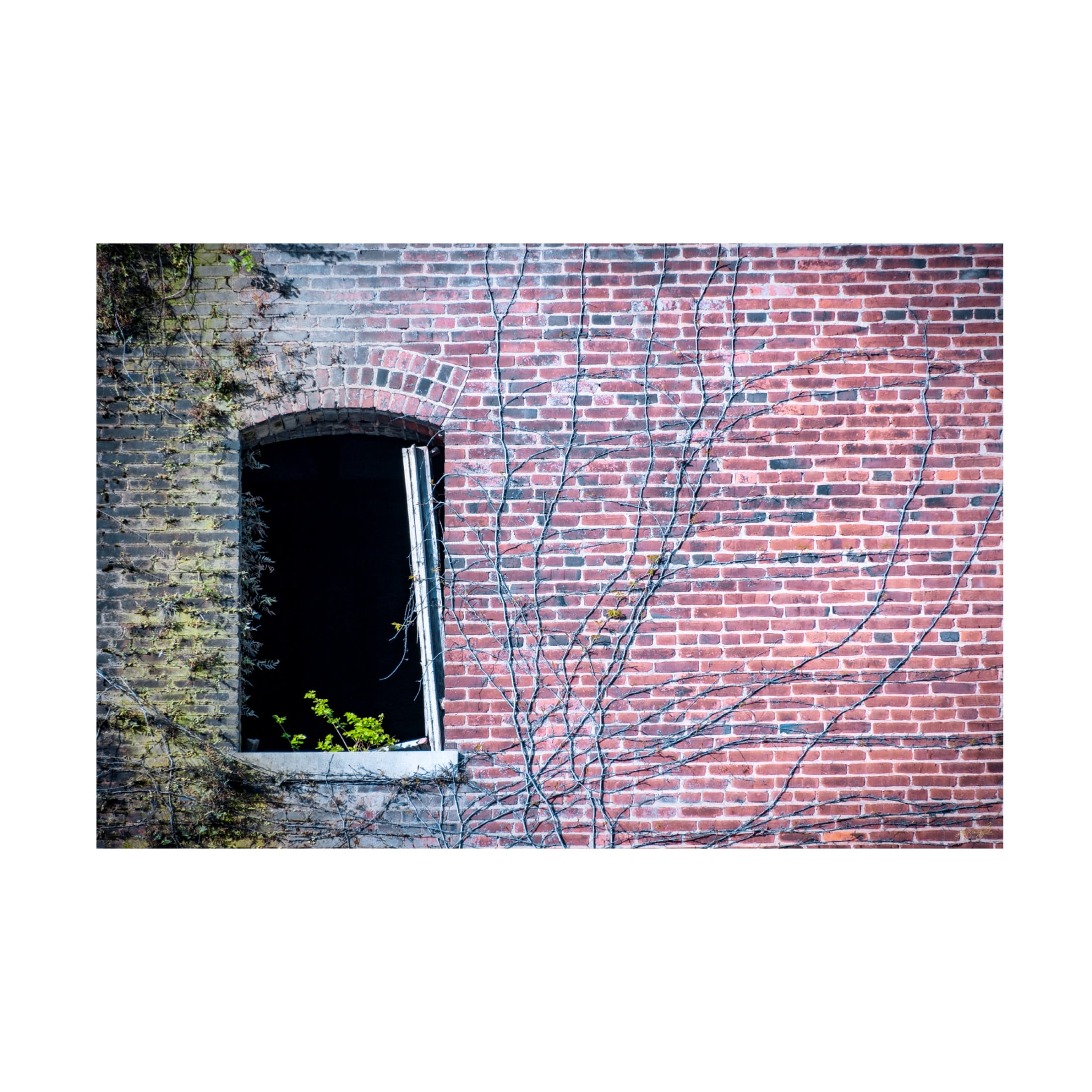 Canvas Wall Art - Life BeautifuLEE 'The Old Places' Wall Art for Living Room, Bedroom, or Office Décor by Trademark Fine Art - 47 x 30 Inches