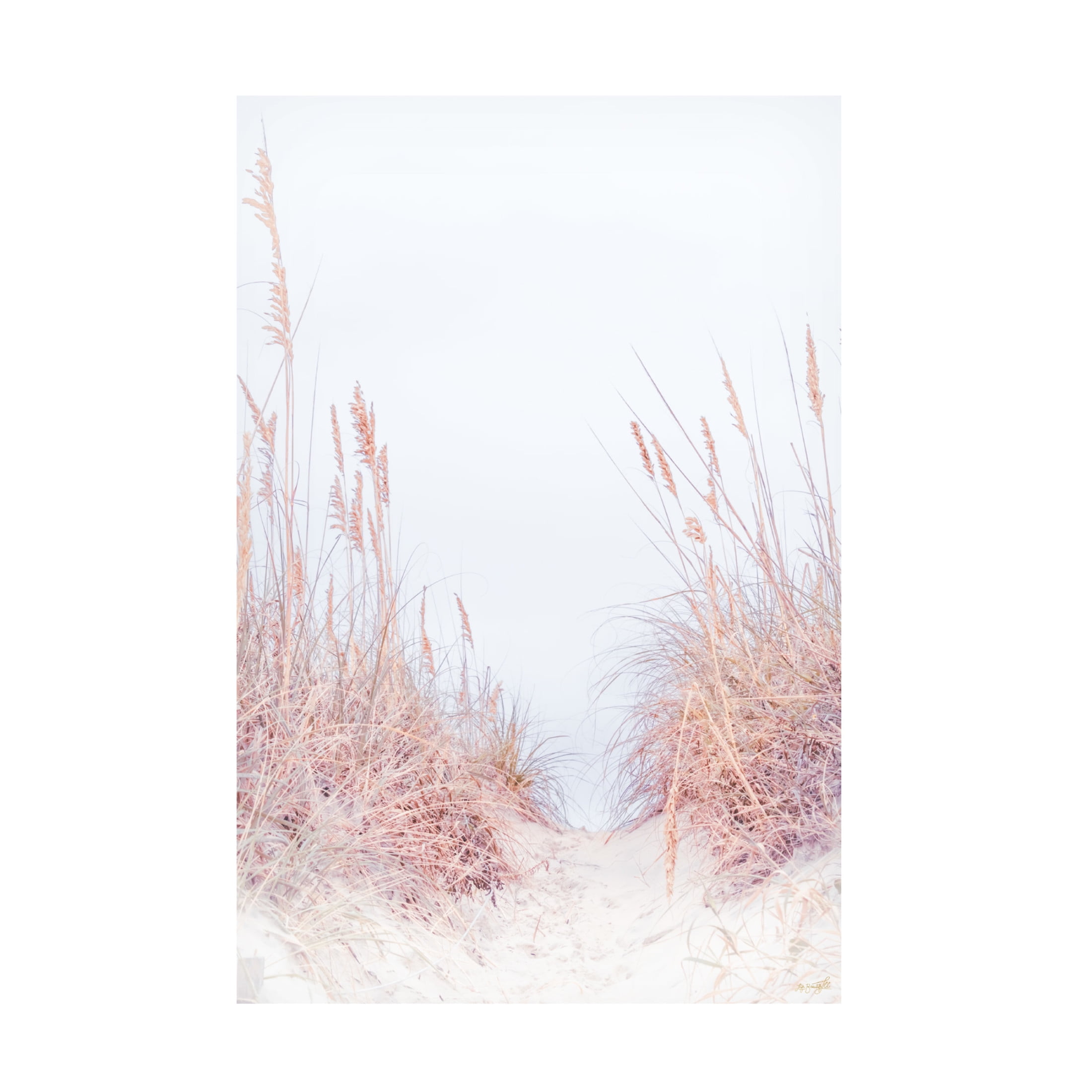 Canvas Wall Art - Life BeautifuLEE 'The Pastel Beach Pathway' Wall Art for Living Room, Bedroom, or Office Décor by Trademark Fine Art - 16 x 24 Inches