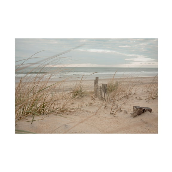 Canvas Wall Art - Life BeautifuLEE 'The Secret Morning Beach' Wall Art for Living Room, Bedroom, or Office Décor by Trademark Fine Art - 19 x 12 Inches
