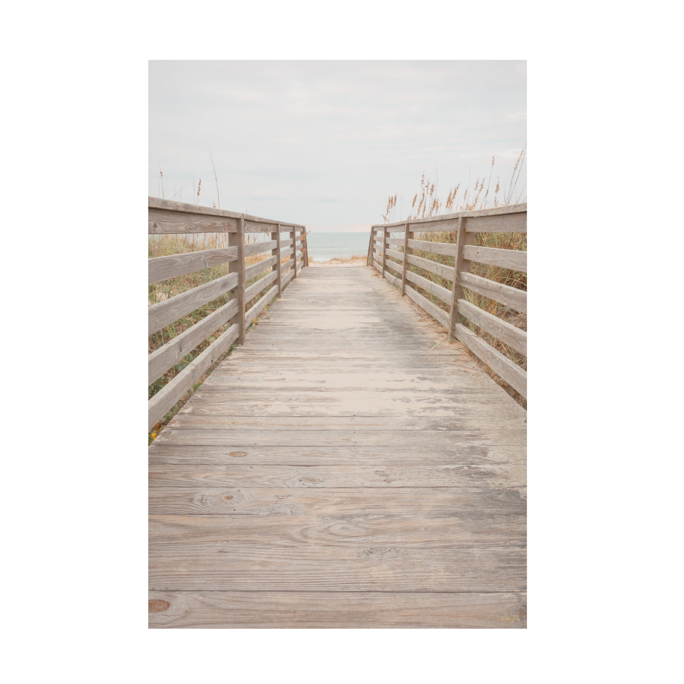 Canvas Wall Art - Life BeautifuLEE 'Walking to Peace' Wall Art for Living Room, Bedroom, or Office Décor by Trademark Fine Art - 16 x 24 Inches