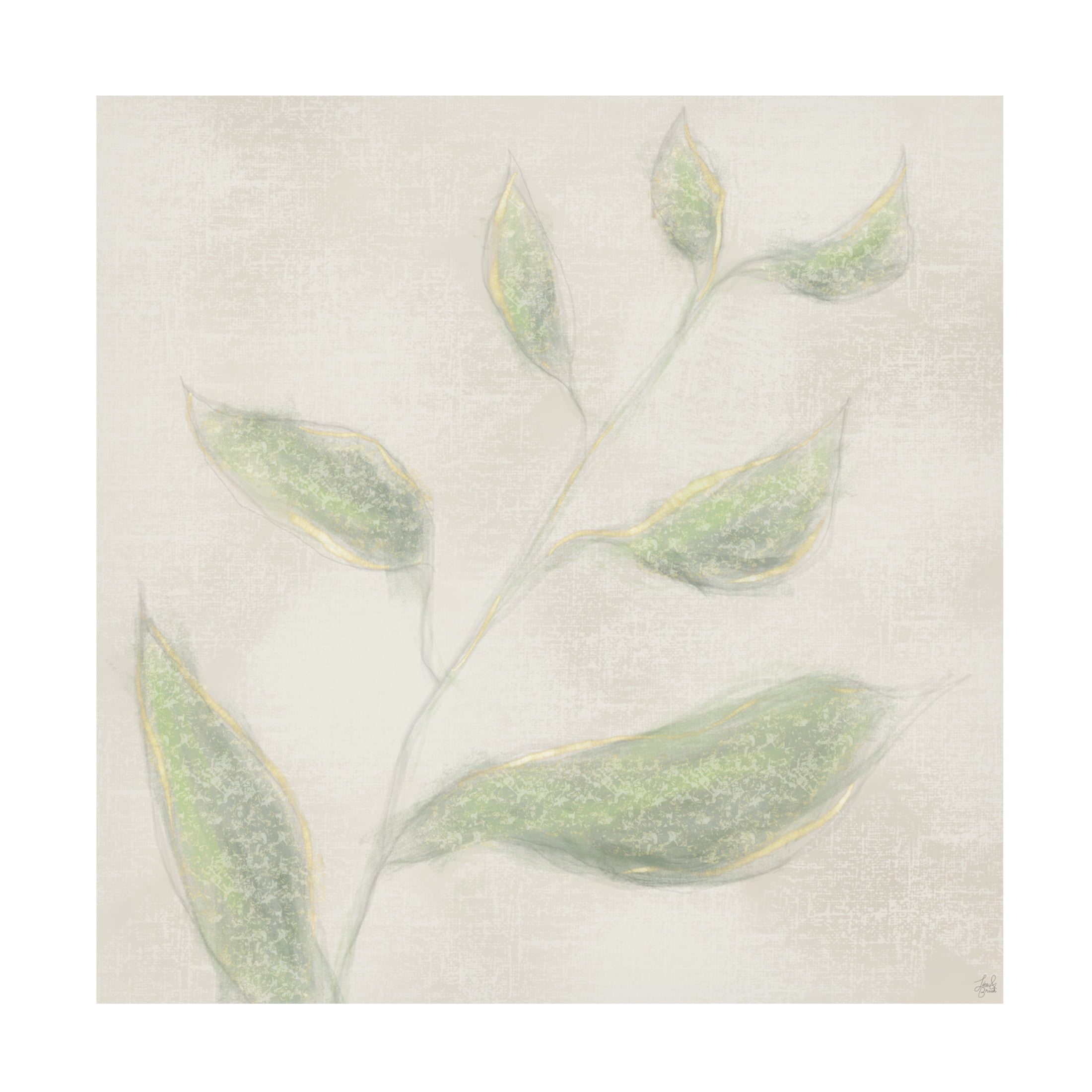 Canvas Wall Art - Line and Brush 'Botanical Single Growth 1' Wall Art for Living Room, Bedroom, or Office Décor by Trademark Fine Art - 14 x 14 Inches