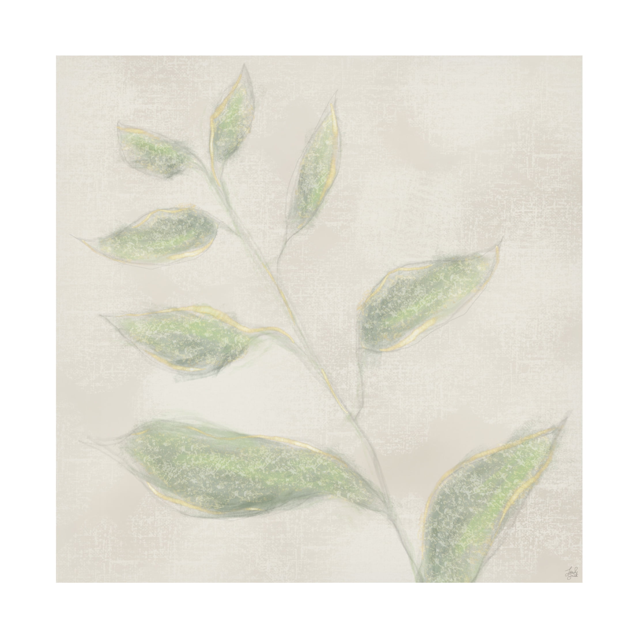 Canvas Wall Art - Line and Brush 'Botanical Single Growth 2' Wall Art for Living Room, Bedroom, or Office Décor by Trademark Fine Art - 35 x 35 Inches