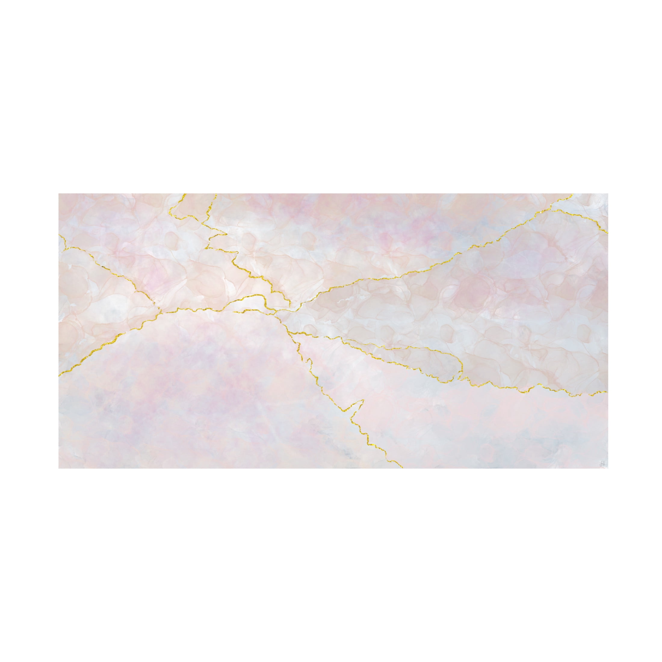 Canvas Wall Art - Line and Brush 'Blush N Gold' Wall Art for Living Room, Bedroom, or Office Décor by Trademark Fine Art - 19 x 10 Inches
