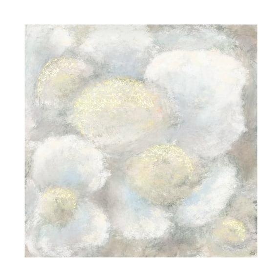 Canvas Wall Art - Line and Brush 'Close Up Softy Florals' Wall Art for Living Room, Bedroom, or Office Décor by Trademark Fine Art - 24 x 24 Inches