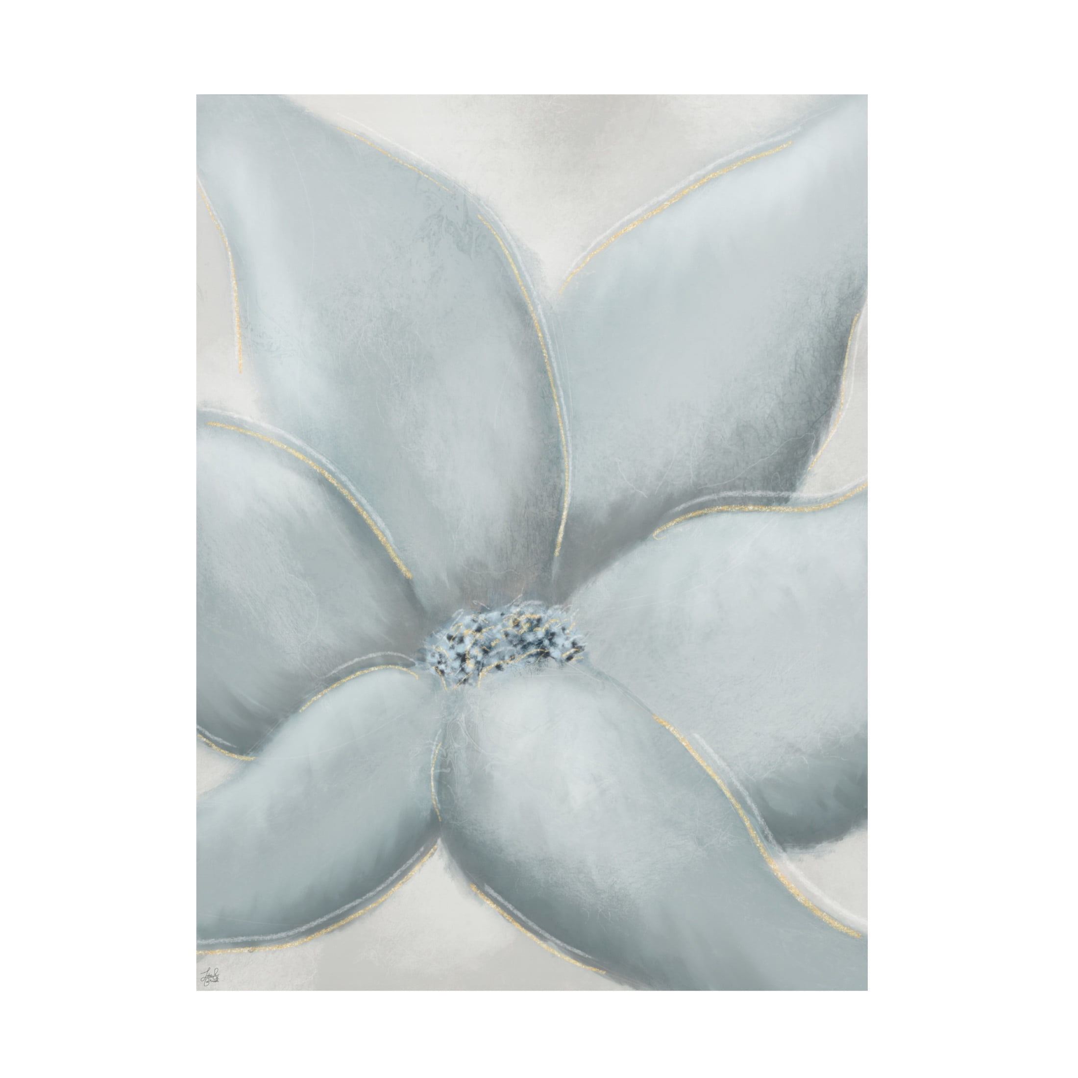 Canvas Wall Art - Line and Brush 'Cotton Flower' Wall Art for Living Room, Bedroom, or Office Décor by Trademark Fine Art - 18 x 24 Inches