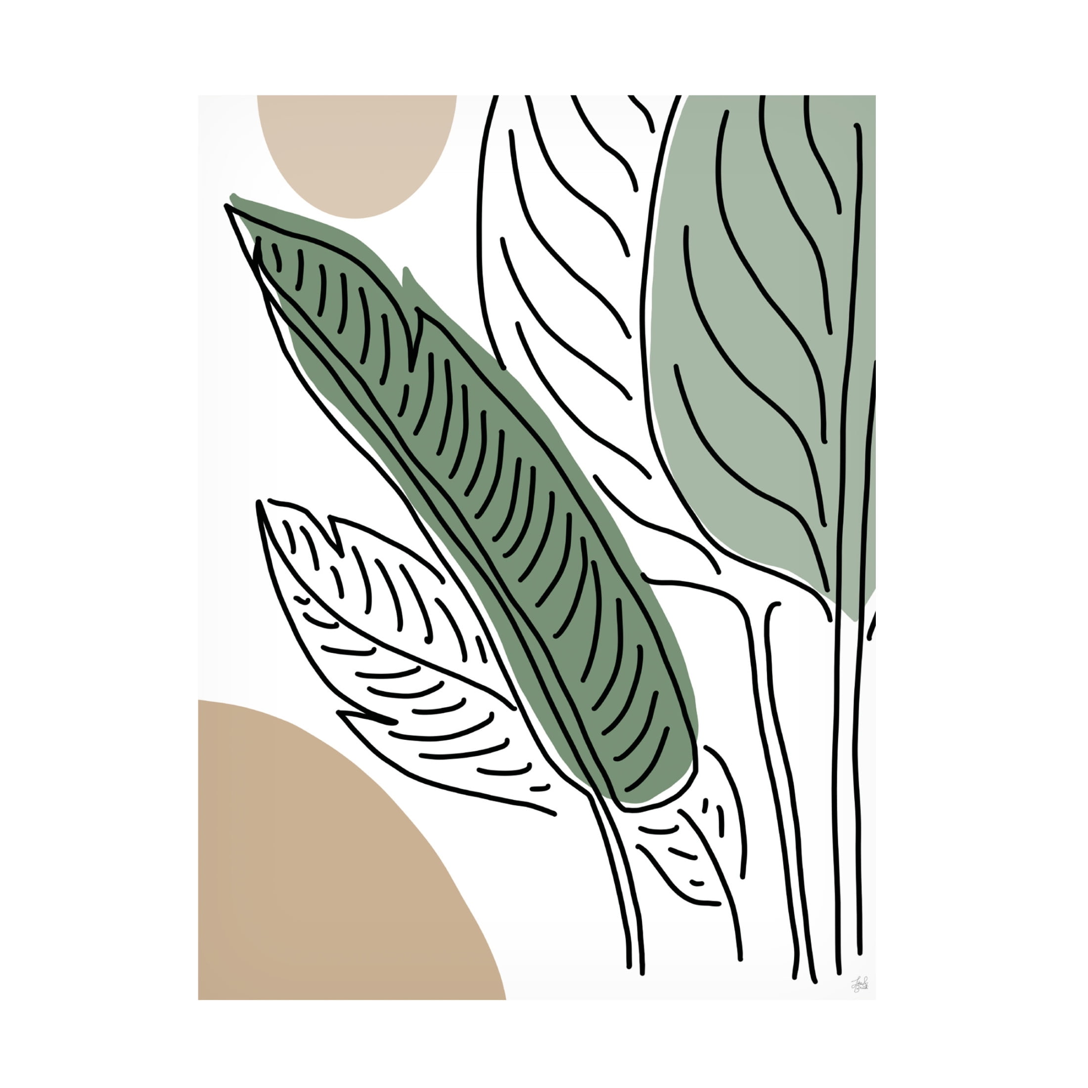 Canvas Wall Art - Line and Brush 'Ferns By Lines 1' Wall Art for Living Room, Bedroom, or Office Décor by Trademark Fine Art - 14 x 19 Inches
