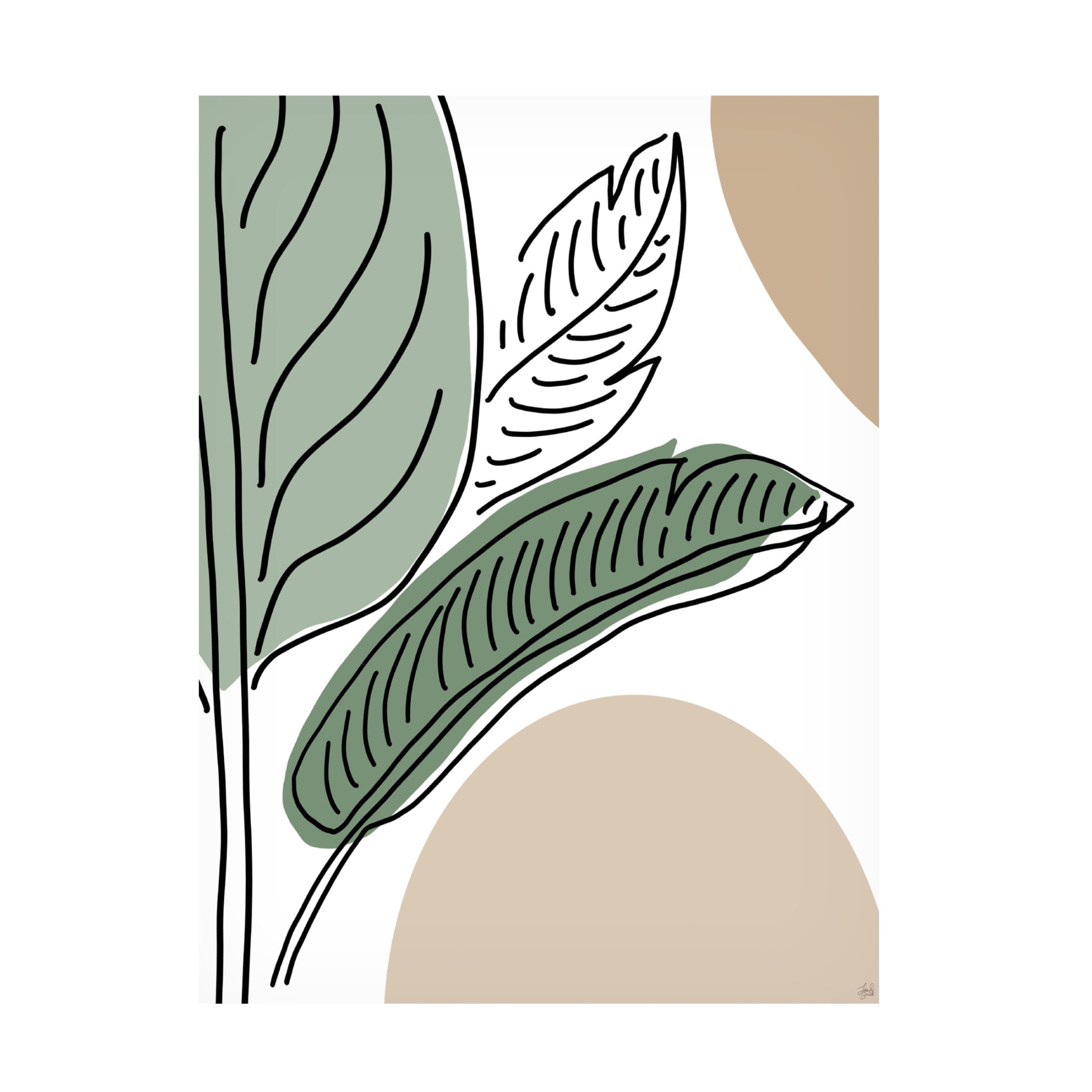 Canvas Wall Art - Line and Brush 'Ferns By Lines 2' Wall Art for Living Room, Bedroom, or Office Décor by Trademark Fine Art - 35 x 47 Inches