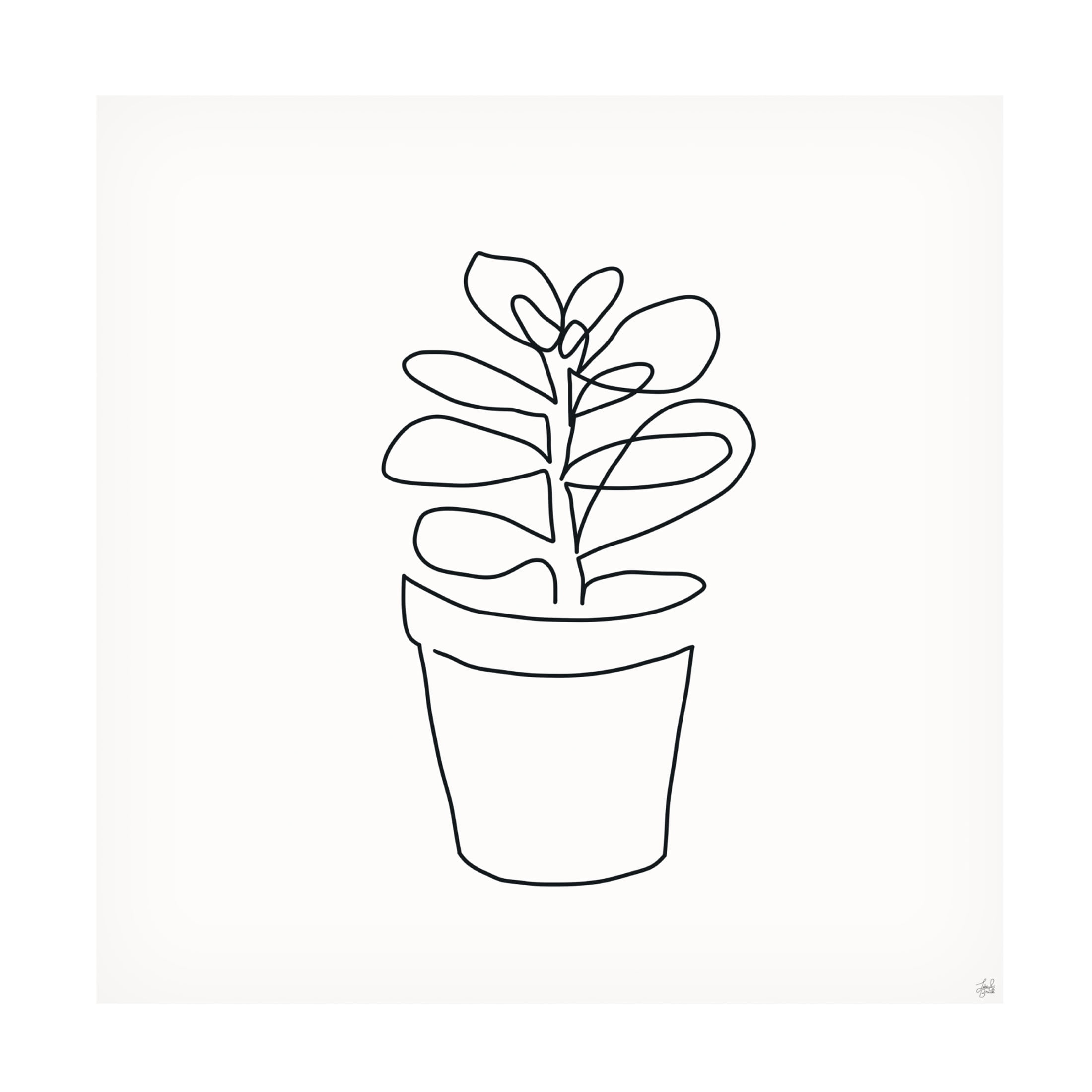 Canvas Wall Art - Line and Brush 'Line Succulent 1' Wall Art for Living Room, Bedroom, or Office Décor by Trademark Fine Art - 35 x 35 Inches