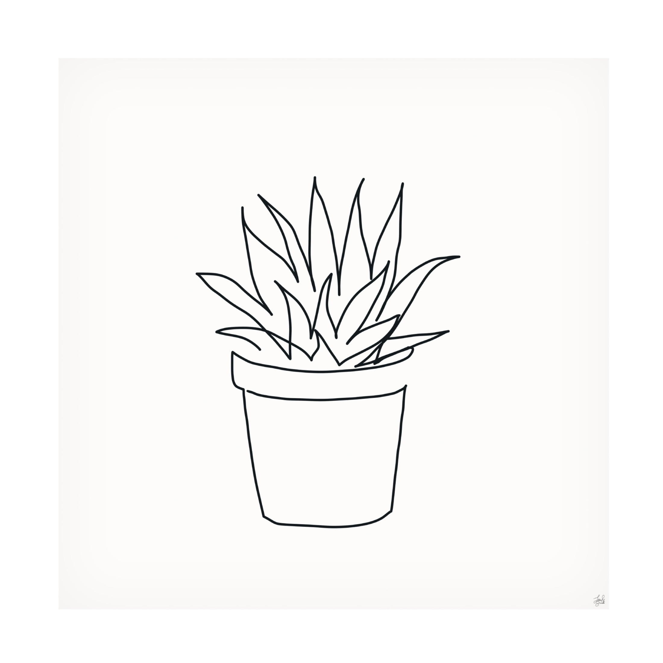 Canvas Wall Art - Line and Brush 'Line Succulent 2' Wall Art for Living Room, Bedroom, or Office Décor by Trademark Fine Art - 24 x 24 Inches