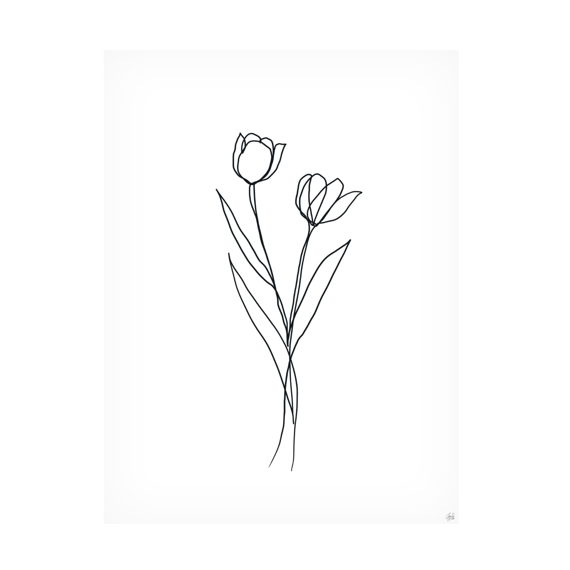 Canvas Wall Art - Line and Brush 'Line Tulips 1' Wall Art for Living Room, Bedroom, or Office Décor by Trademark Fine Art - 18 x 24 Inches