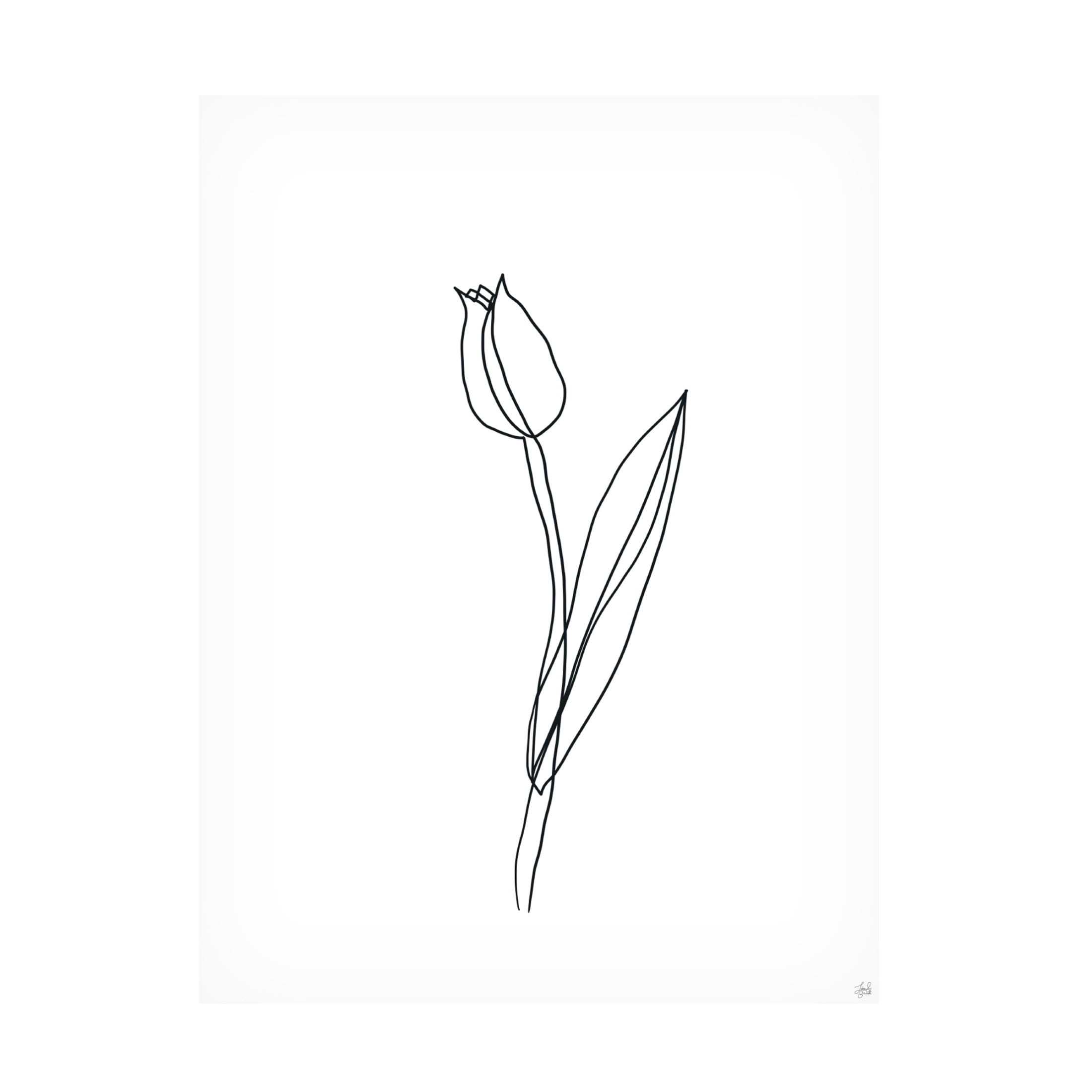 Canvas Wall Art - Line and Brush 'Line Tulips 2' Wall Art for Living Room, Bedroom, or Office Décor by Trademark Fine Art - 18 x 24 Inches