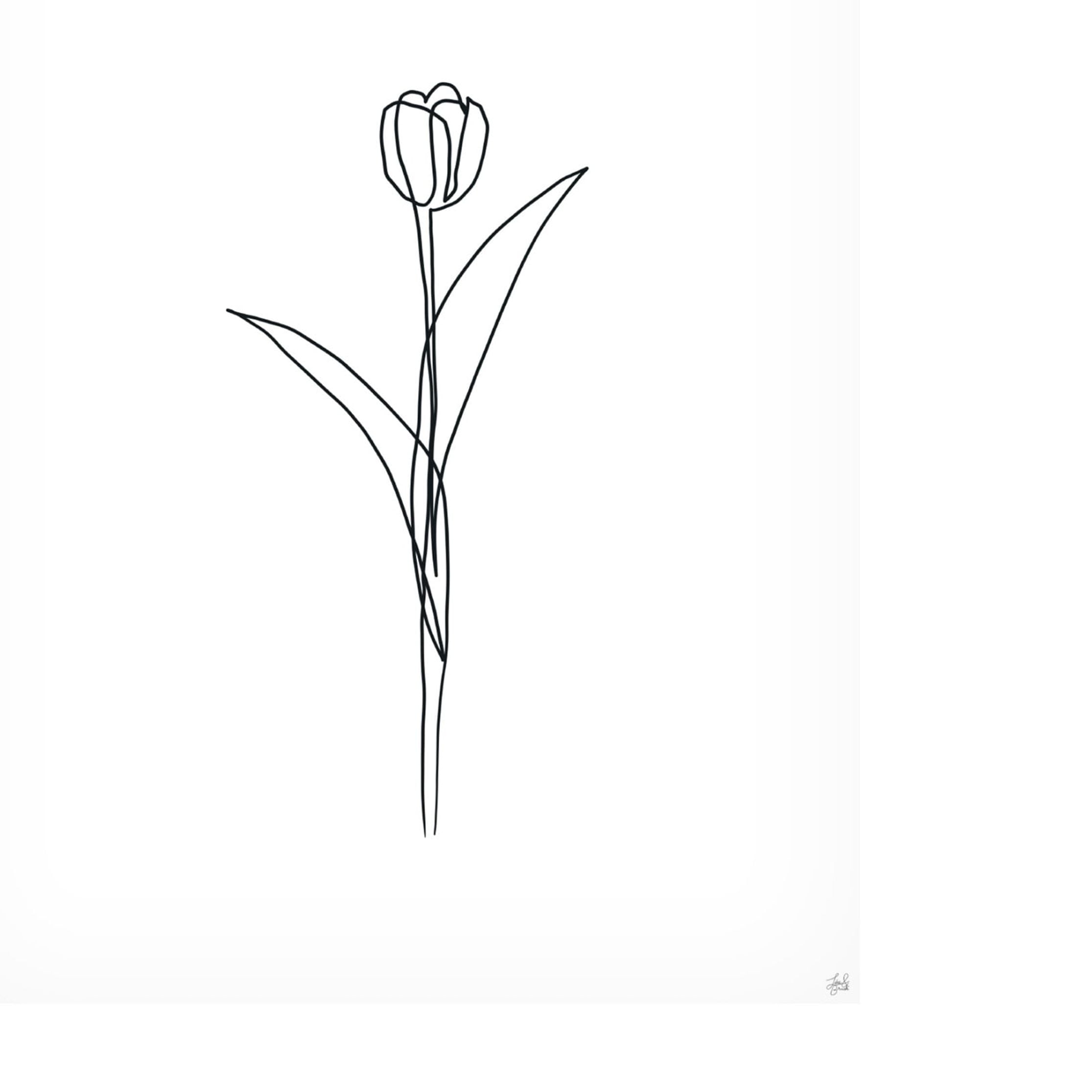 Canvas Wall Art - Line and Brush 'Line Tulips 3' Wall Art for Living Room, Bedroom, or Office Décor by Trademark Fine Art - 35 x 47 Inches