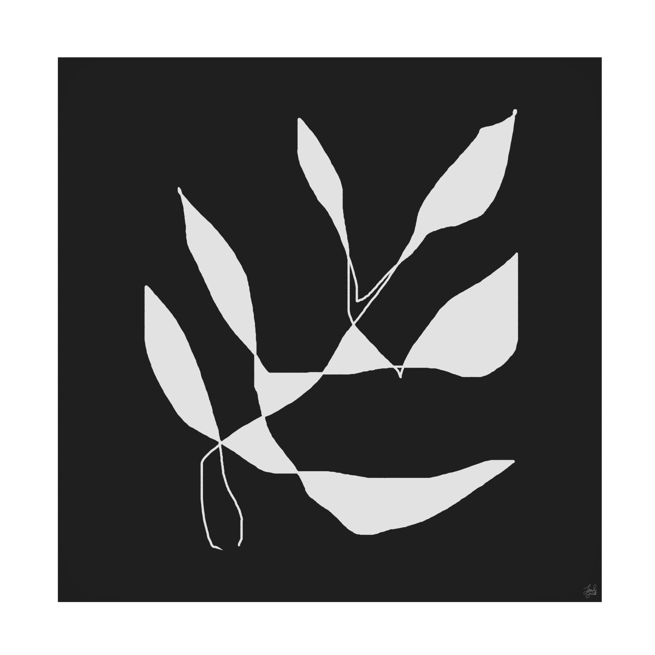 Canvas Wall Art - Line and Brush 'White To Plant 2' Wall Art for Living Room, Bedroom, or Office Décor by Trademark Fine Art - 18 x 18 Inches
