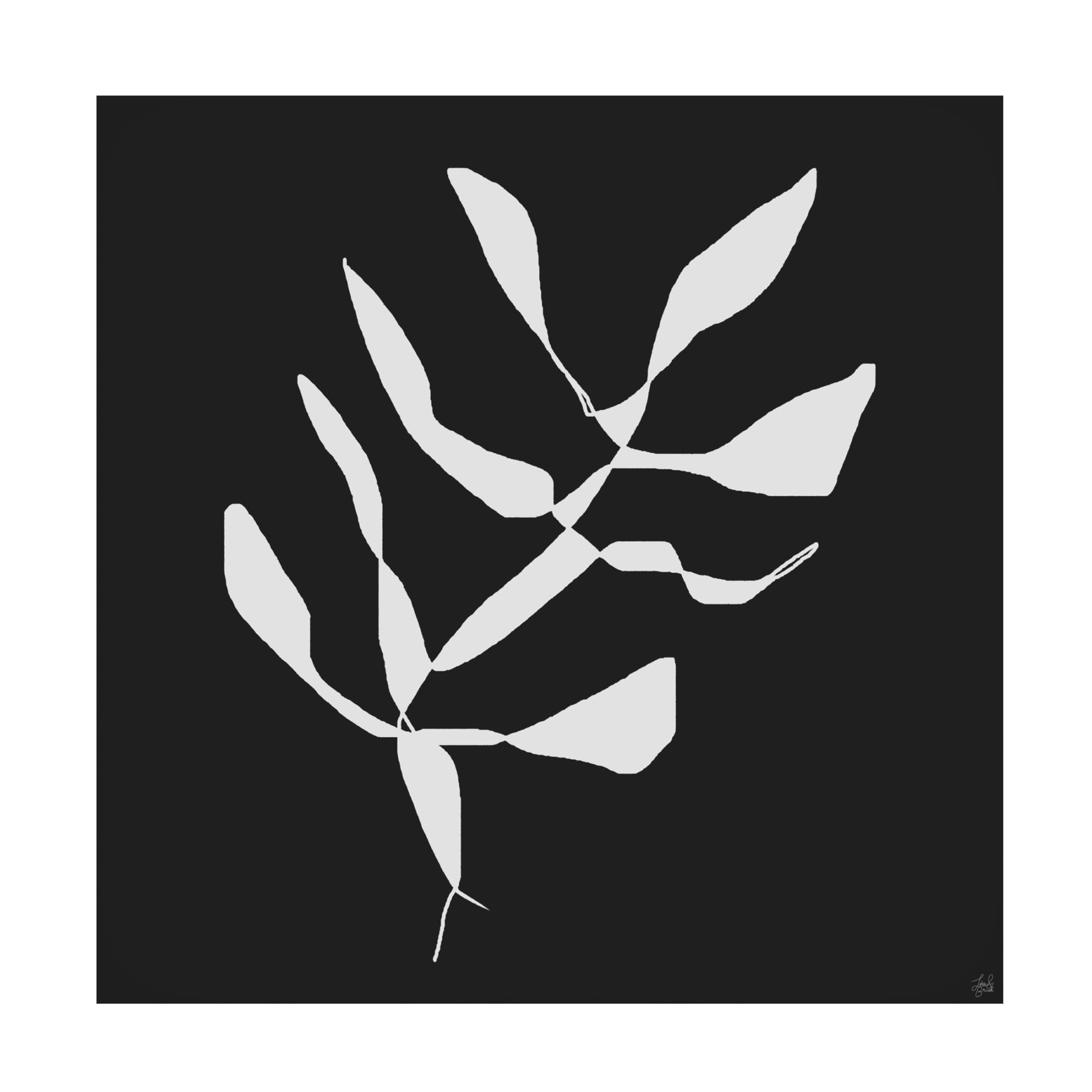Canvas Wall Art - Line and Brush 'White To Plant 4' Wall Art for Living Room, Bedroom, or Office Décor by Trademark Fine Art - 18 x 18 Inches