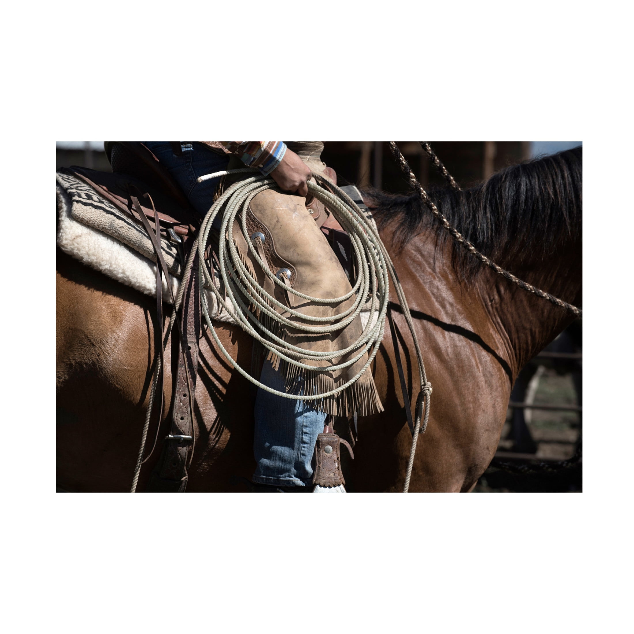 Canvas Wall Art - Lisa Dearing 'Sierra Style' Wall Art for Living Room, Bedroom, or Office Décor by Trademark Fine Art - 19 x 12 Inches