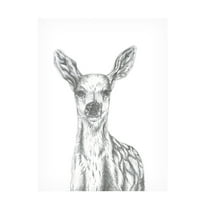Canvas Wall Art - Lor Muller 'Deer' Wall Art for Living Room, Bedroom, or Office Décor by Trademark Fine Art - 14 x 19 Inches