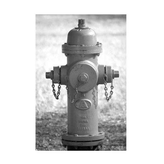 Canvas Wall Art - Lori Hutchison 'Fire Hydrant' Wall Art for Living Room, Bedroom, or Office Décor by Trademark Fine Art - 12 x 19 Inches