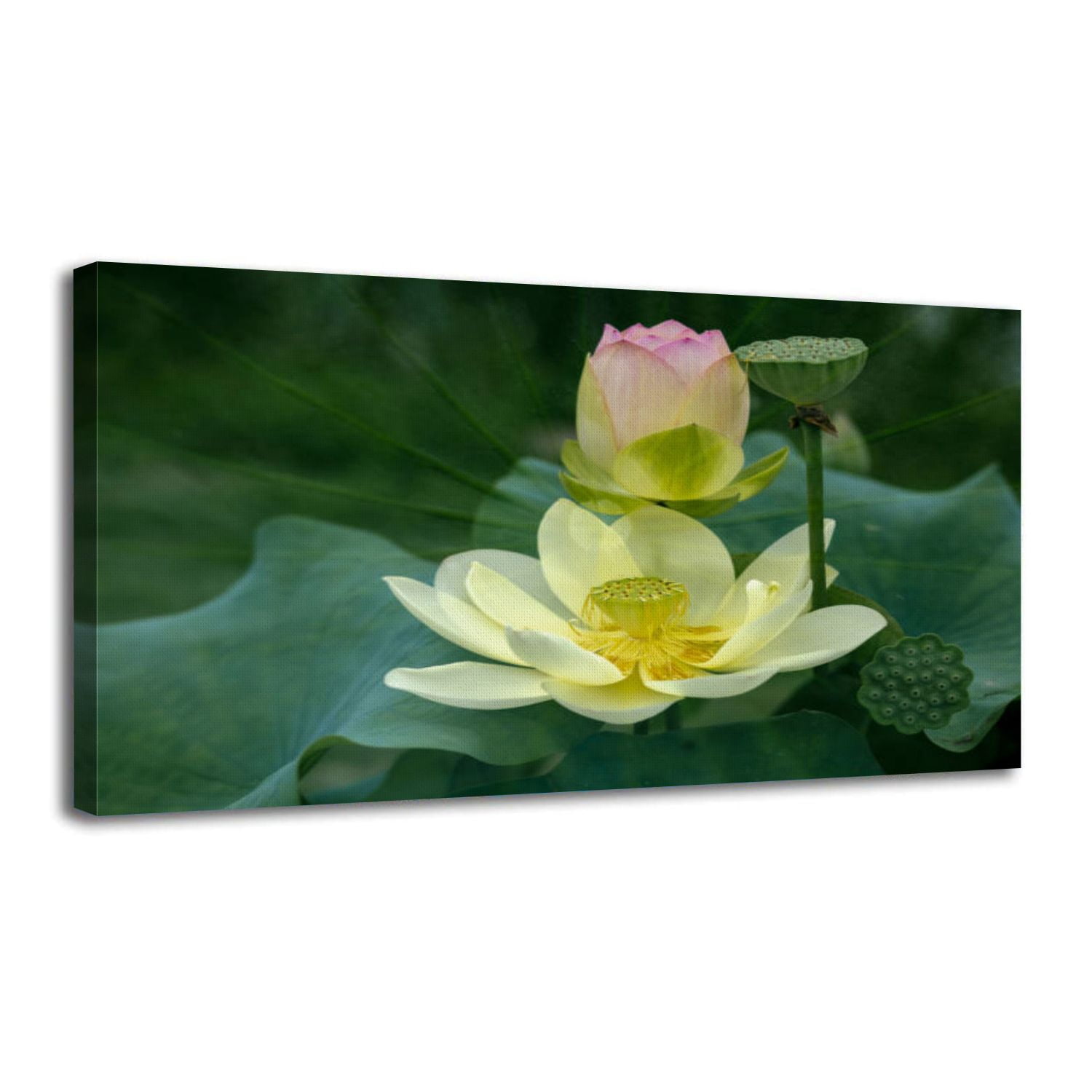 Canvas Wall Art Lotus Water Lily Wall Decor for Living Room Bathroom ...