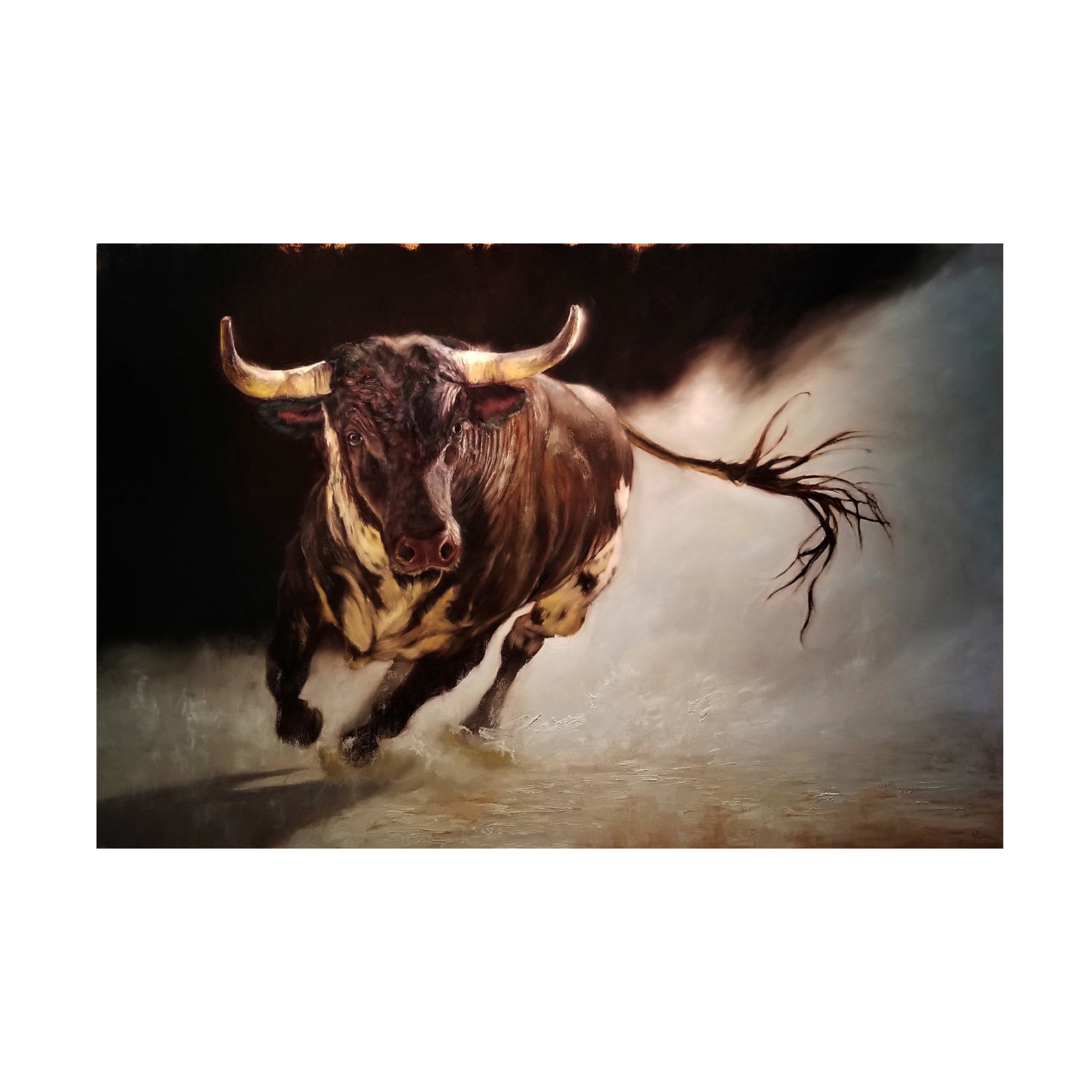 Canvas Wall Art - Lucia Heffernan 'El Toro 2' Wall Art for Living Room, Bedroom, or Office Décor by Trademark Fine Art - 24 x 16 Inches
