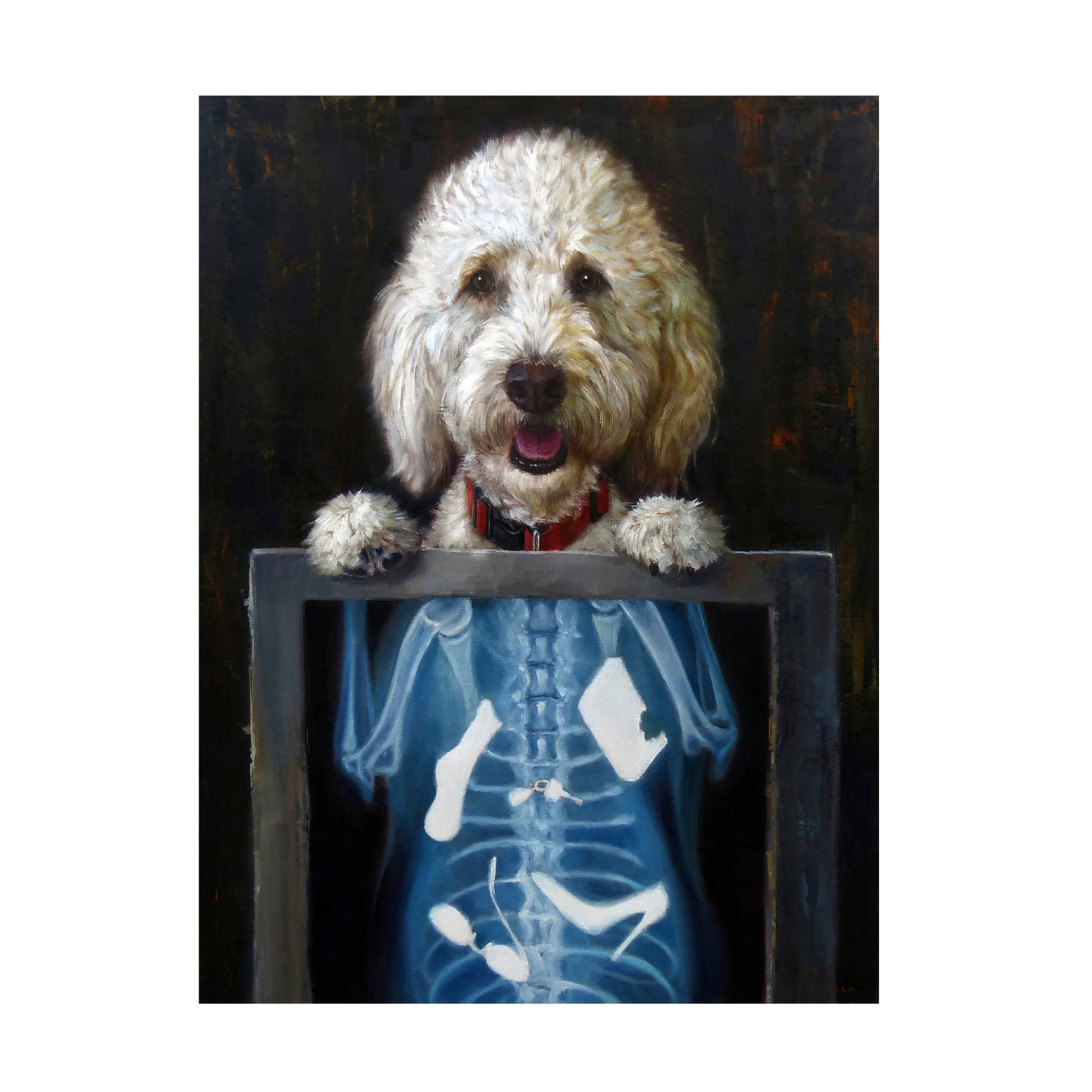 Canvas Wall Art - Lucia Heffernan 'Inside Story' Wall Art for Living Room, Bedroom, or Office Décor by Trademark Fine Art - 14 x 19 Inches