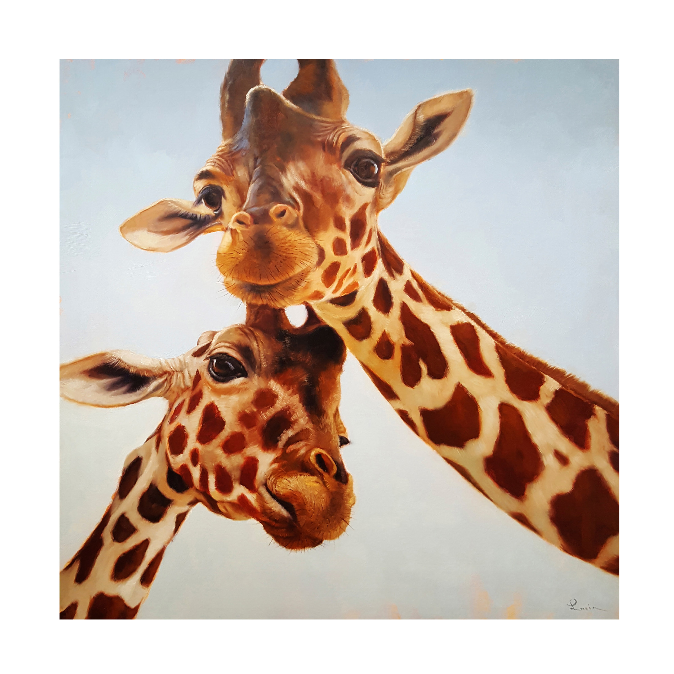 Canvas Wall Art - Lucia Heffernan 'Soulmate II' Wall Art for Living Room, Bedroom, or Office Décor by Trademark Fine Art - 24 x 24 Inches