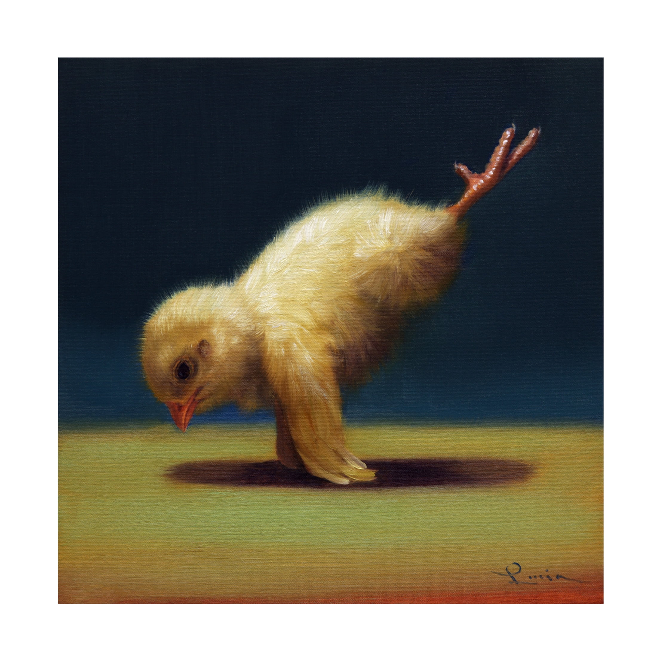 Canvas Wall Art - Lucia Heffernan 'Yoga Chick Peacock' Wall Art for Living Room, Bedroom, or Office Décor by Trademark Fine Art - 35 x 35 Inches
