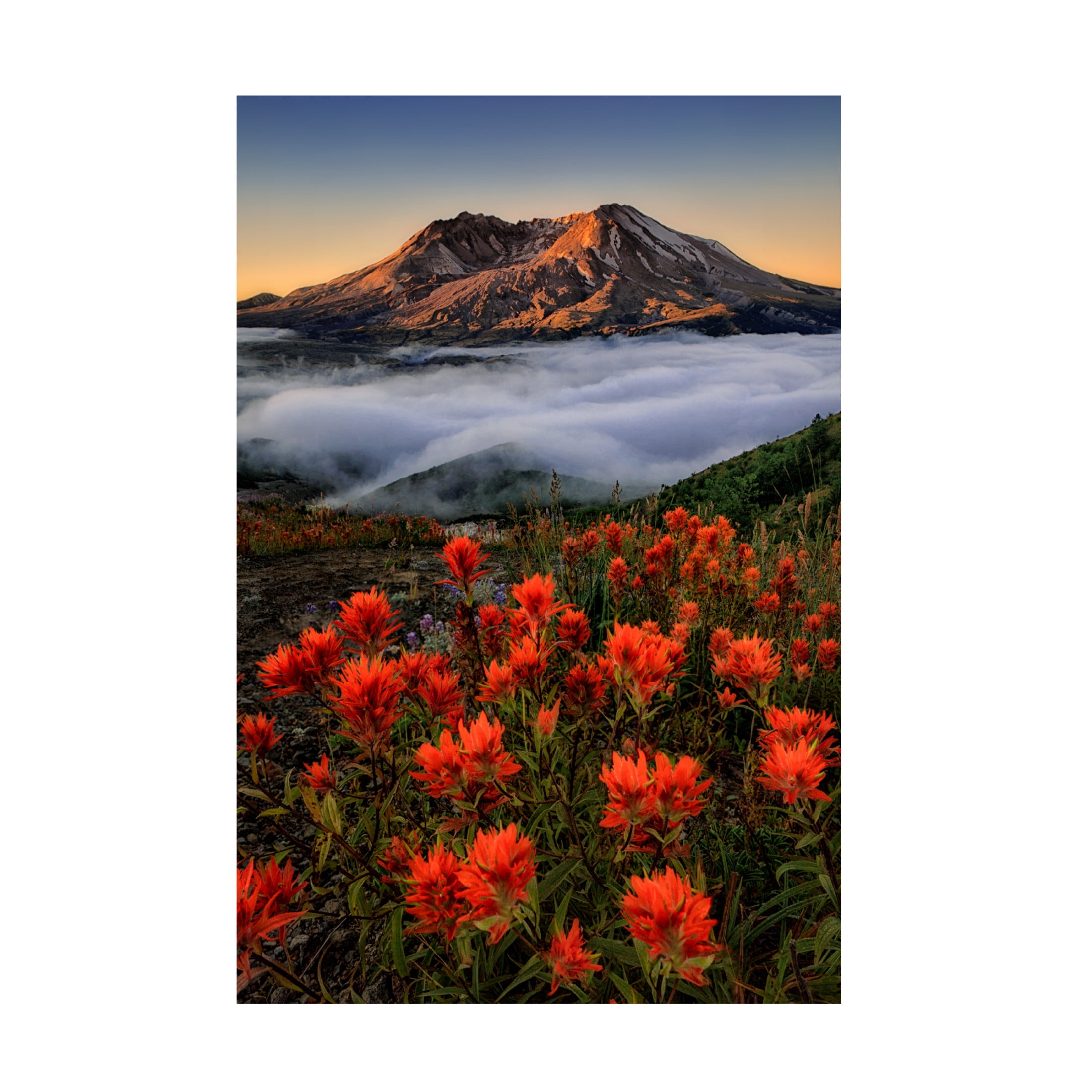 Canvas Wall Art - Lydia Jacobs 'Blooming' Wall Art for Living Room, Bedroom, or Office D?cor by Trademark Fine Art - 22 x 32 Inches