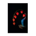 thumbnail image 1 of Canvas Wall Art - Lydia Jacobs 'Chinese Lantern' Wall Art for Living Room, Bedroom, or Office Décor by Trademark Fine Art - 16 x 24 Inches, 1 of 4