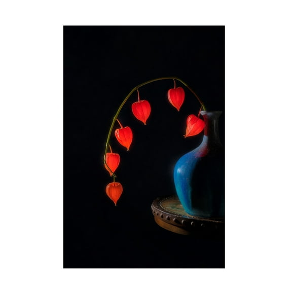 Canvas Wall Art - Lydia Jacobs 'Chinese Lantern' Wall Art for Living Room, Bedroom, or Office Décor by Trademark Fine Art - 30 x 47 Inches