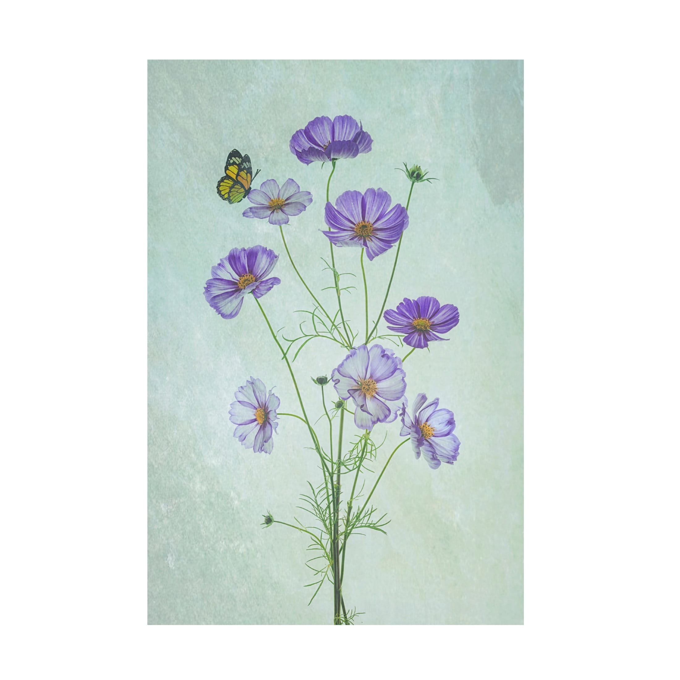 Canvas Wall Art - Lydia Jacobs 'Elegant Cosmos Flowers' Wall Art for Living Room, Bedroom, or Office Décor by Trademark Fine Art - 22 x 32 Inches