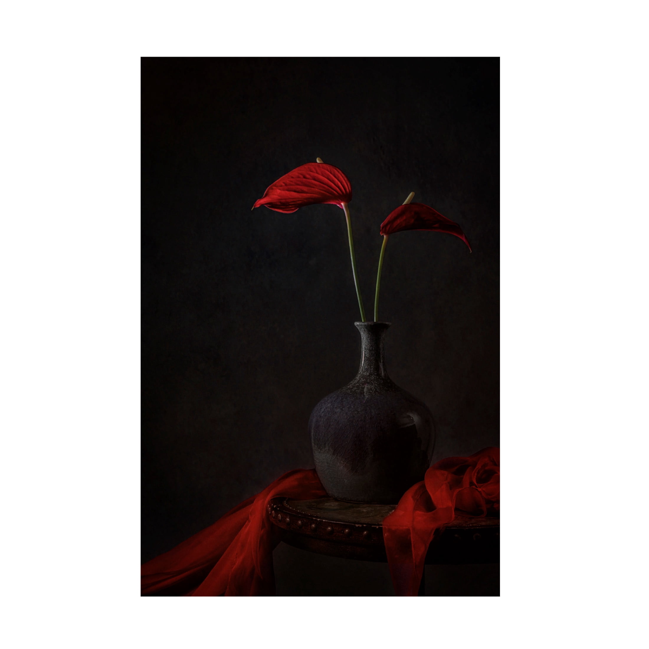 Canvas Wall Art - Lydia Jacobs 'Tropical Anthurium' Wall Art for Living Room, Bedroom, or Office Décor by Trademark Fine Art - 12 x 19 Inches