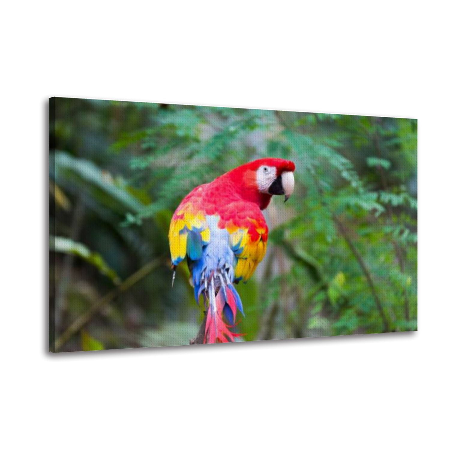 View of Canvas Wall Art Macaw Parrot Bird Macaw Mountain Reserve Copan Honduras ...