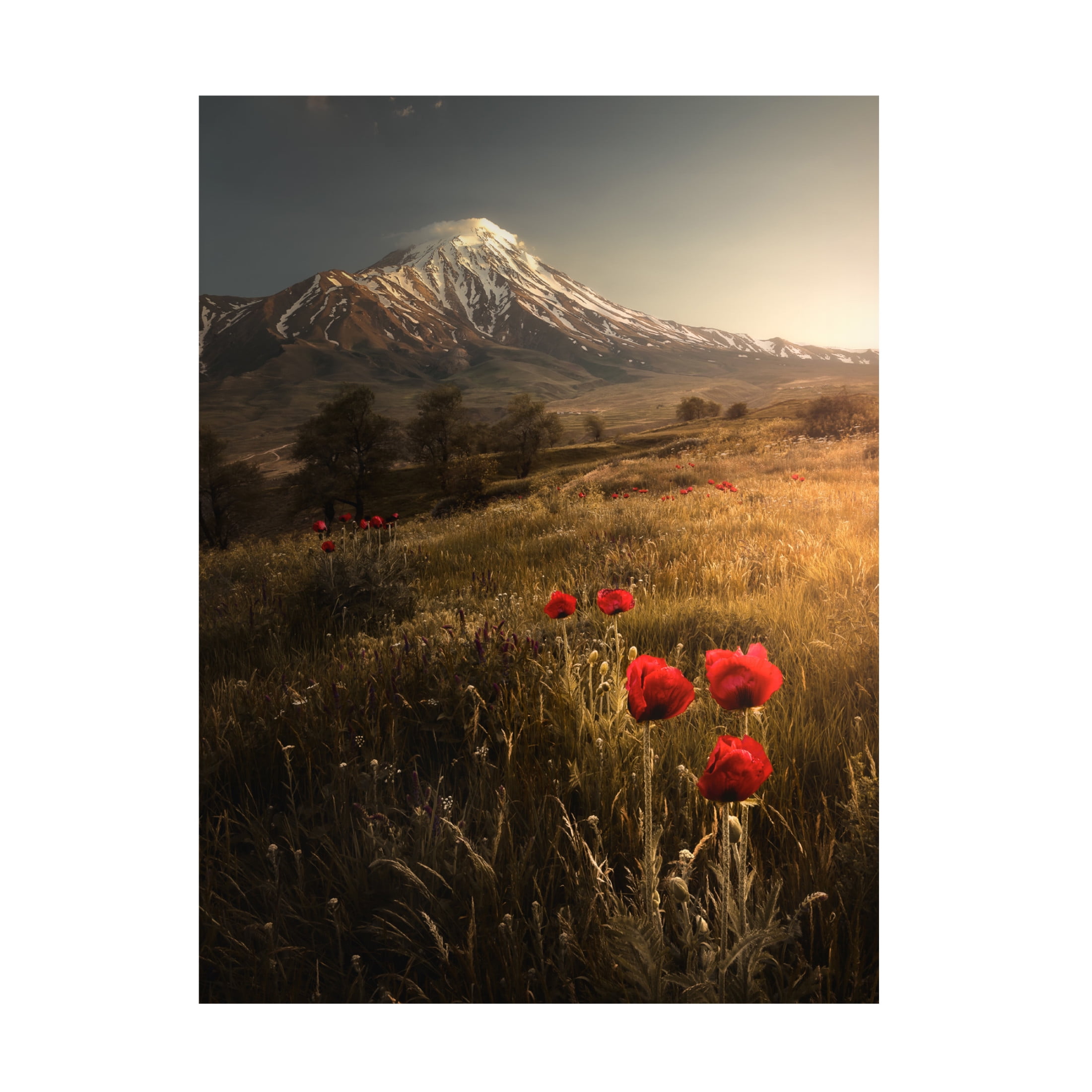 Canvas Wall Art - Majid Behzad 'Life Is Beautiful' Wall Art for Living Room, Bedroom, or Office Décor by Trademark Fine Art - 35 x 47 Inches