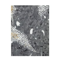 Canvas Wall Art - Maliq 'Stone 2' Wall Art for Living Room, Bedroom, or Office Décor by Trademark Fine Art - 14 x 19 Inches