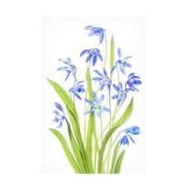 Canvas Wall Art - Mandy Disher 'Scilla' Wall Art for Living Room, Bedroom, or Office Décor by Trademark Fine Art - 12 x 19 Inches