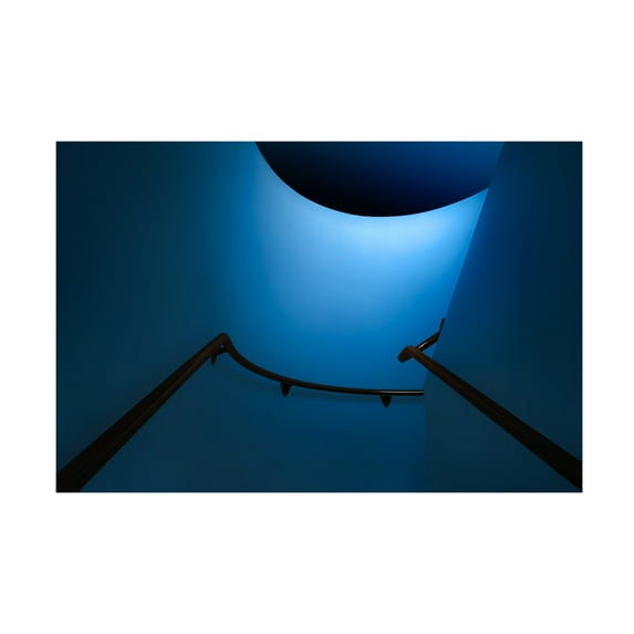 Canvas Wall Art - Marc Huybrighs 'Protekto' Wall Art for Living Room, Bedroom, or Office D?cor by Trademark Fine Art - 24 x 16 Inches