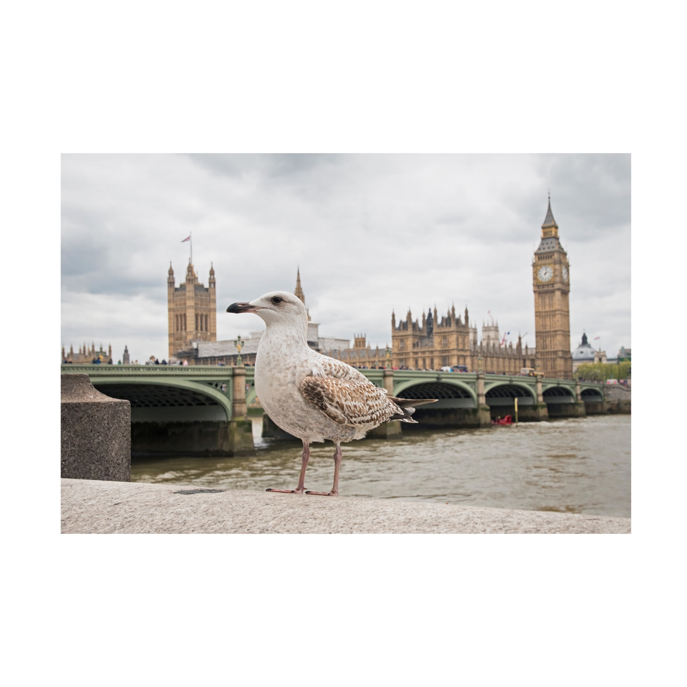 Canvas Wall Art - Marco Pozzi 'The Guardian' Wall Art for Living Room, Bedroom, or Office Décor by Trademark Fine Art - 47 x 30 Inches