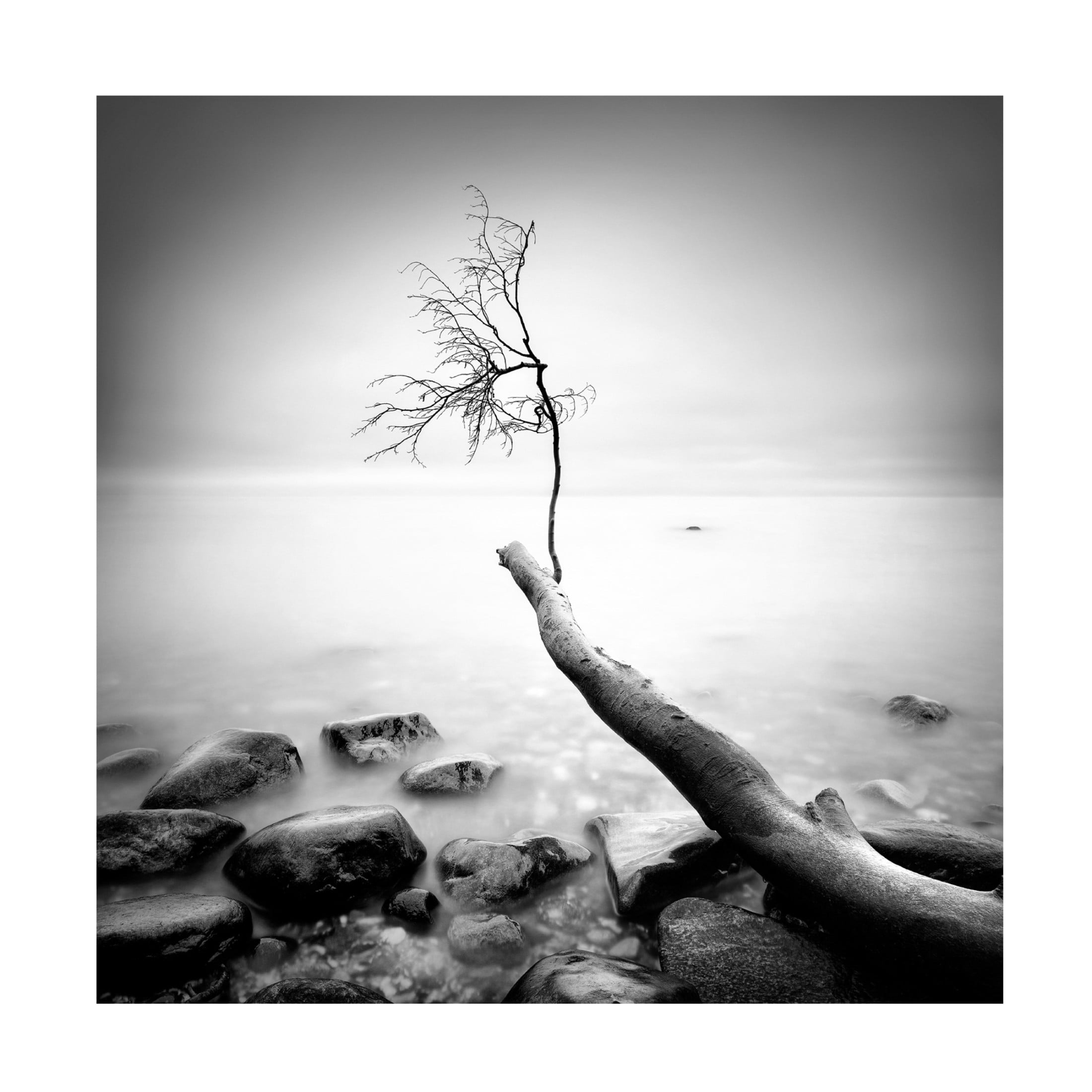 Canvas Wall Art - Marek Kijevsky 'Lost' Wall Art for Living Room, Bedroom, or Office Décor by Trademark Fine Art - 24 x 24 Inches