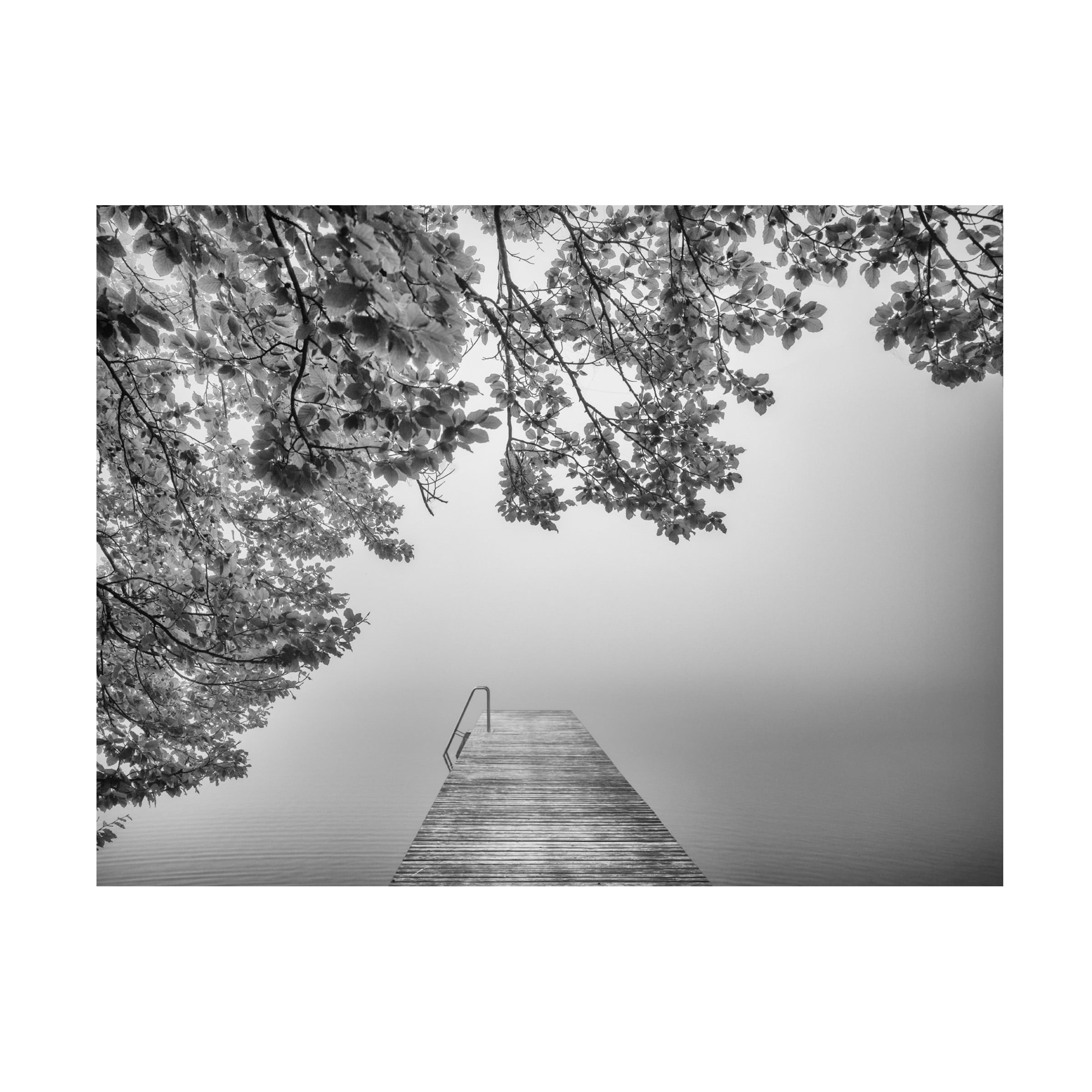Canvas Wall Art - Margit Lisa Roeder 'The Sound Of Silence' Wall Art for Living Room, Bedroom, or Office DÃ©cor by Trademark Fine Art - 24 x 18 Inches