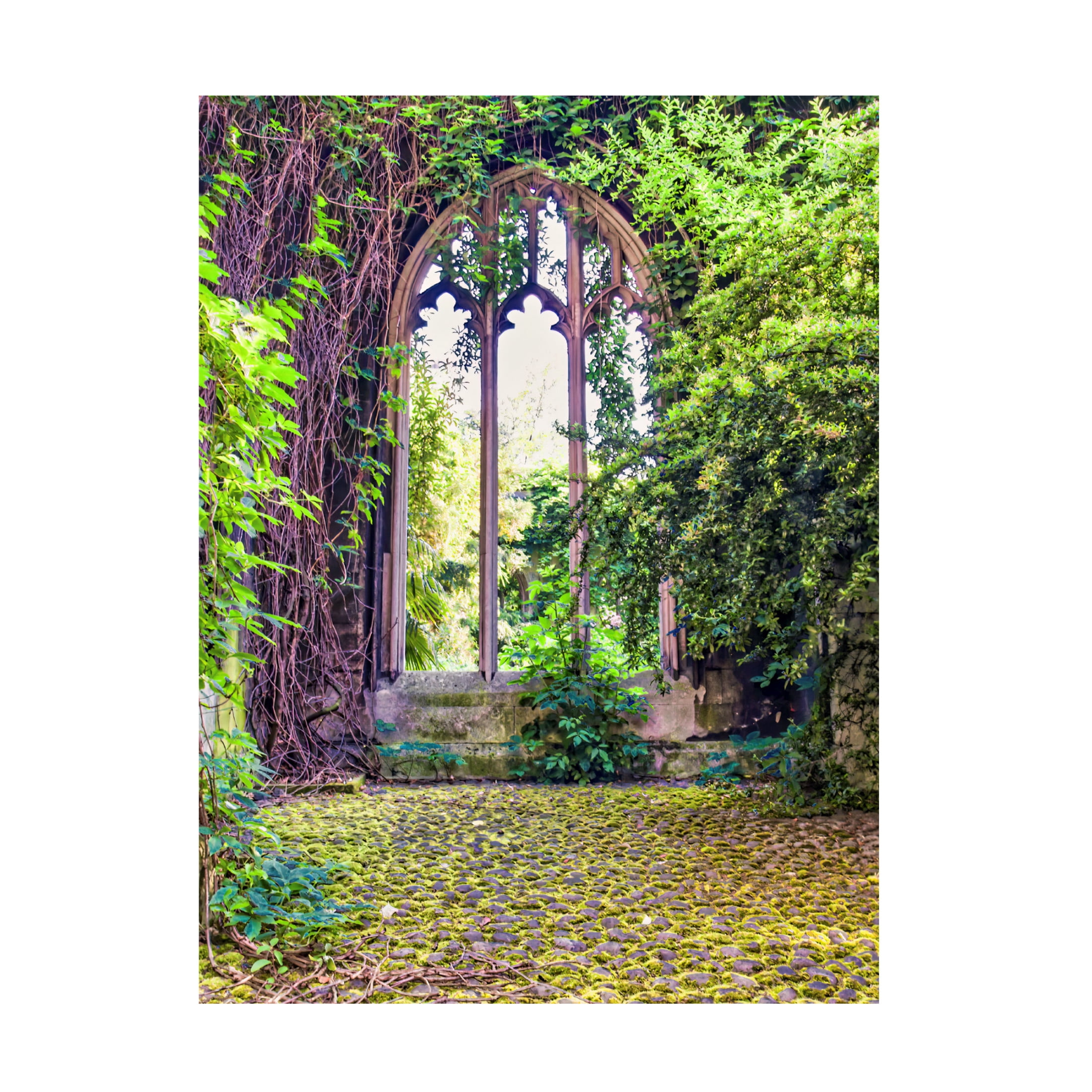 Canvas Wall Art - Mark A Paulda 'Natures Growth In St Dunstan In The East' Wall Art for Living Room, Bedroom, or Office Décor by Trademark Fine Art - 24 x 32 Inches
