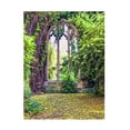 thumbnail image 1 of Canvas Wall Art - Mark A Paulda 'Natures Growth In St Dunstan In The East' Wall Art for Living Room, Bedroom, or Office Décor by Trademark Fine Art - 35 x 47 Inches, 1 of 4