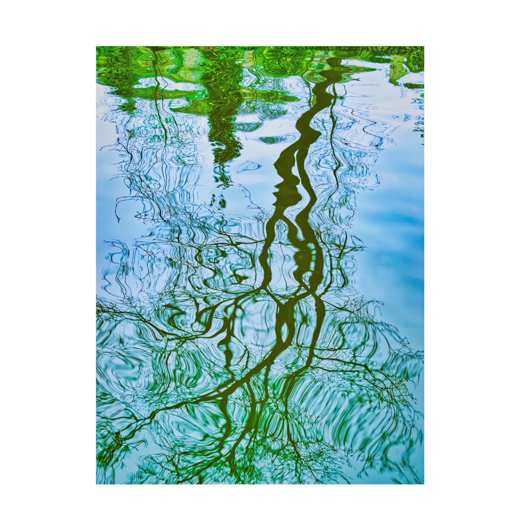 Canvas Wall Art - Mark A Paulda 'Tree Reflection' Wall Art for Living Room, Bedroom, or Office Décor by Trademark Fine Art - 14 x 19 Inches