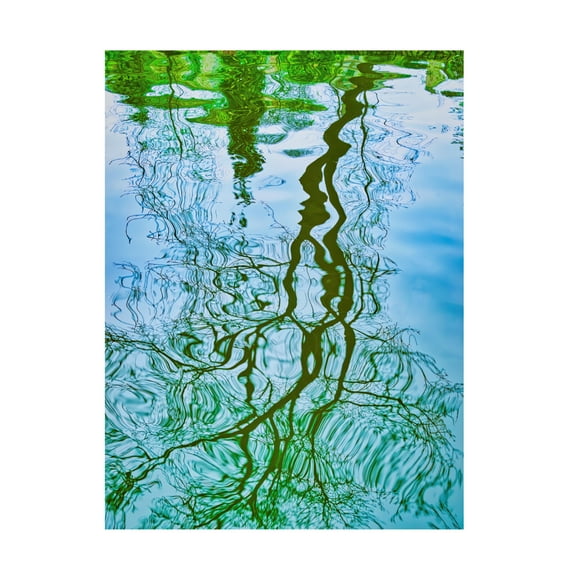 Canvas Wall Art - Mark A Paulda 'Tree Reflection' Wall Art for Living Room, Bedroom, or Office Décor by Trademark Fine Art - 24 x 32 Inches