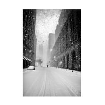 Canvas Wall Art - Martin Froyda 'New York Walker In Blizzard' Wall Art for Living Room, Bedroom, or Office D?cor by Trademark Fine Art - 12 x 19 Inches